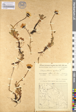 LE 01103266