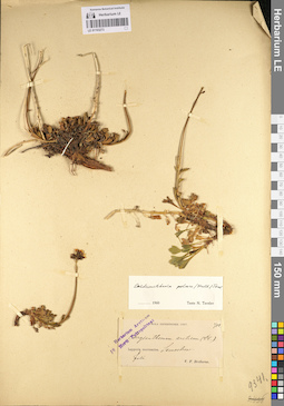 LE 01103273