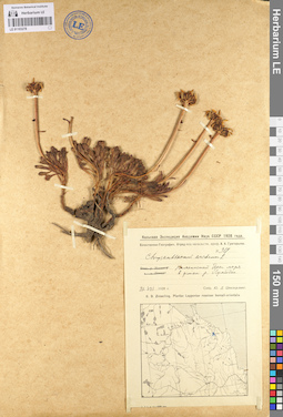 LE 01103278