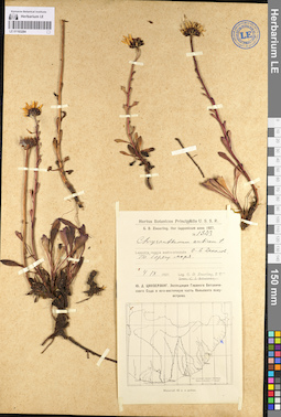 LE 01103284