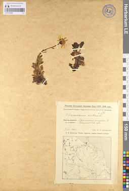 LE 01103287