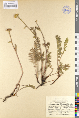 LE 01103292