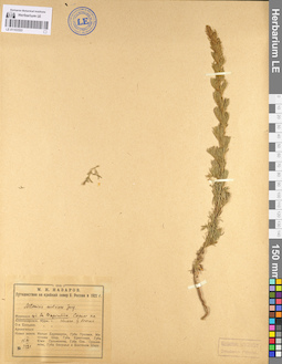 LE 01103323