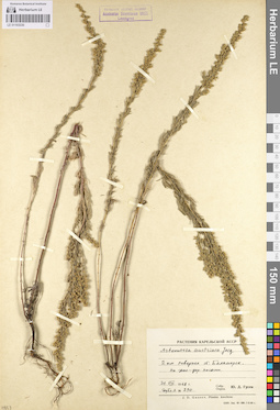 LE 01103330