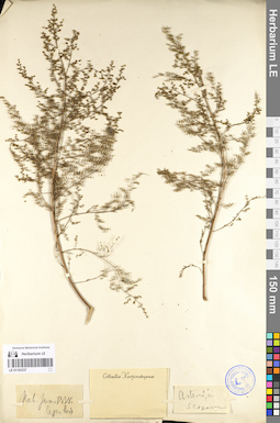 LE 01103337