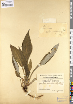 LE 01103842