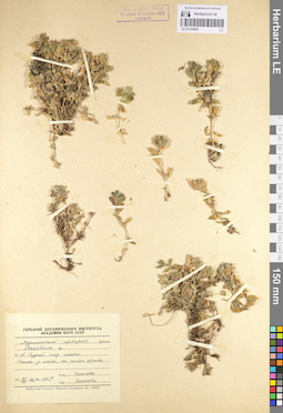 LE 01104895