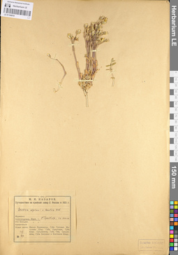 LE 01104918