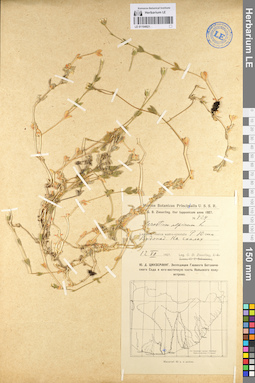 LE 01104921