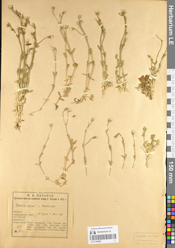 LE 01104928