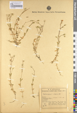 LE 01104938