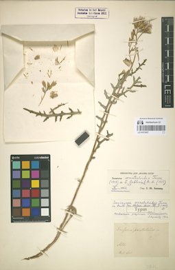 LE 01072427