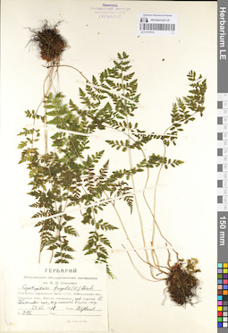 LE 01107014