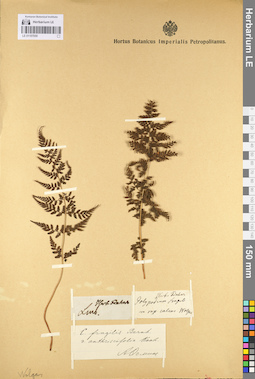 LE 01107050