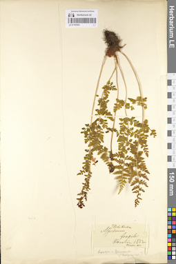 LE 01107053