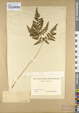 LE 01107067