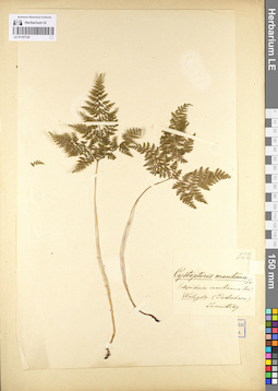 LE 01107125