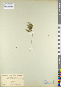 LE 01107127