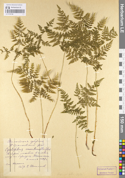 LE 01107128