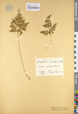 LE 01107130