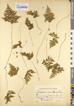 LE 01107139