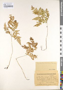 LE 01107148