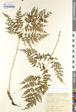 LE 01107157