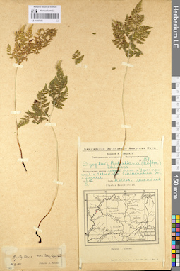 LE 01107158