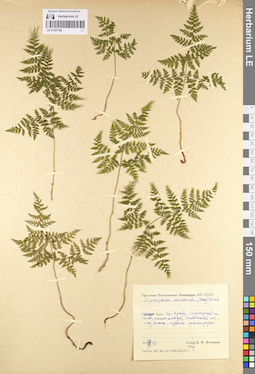 LE 01107160