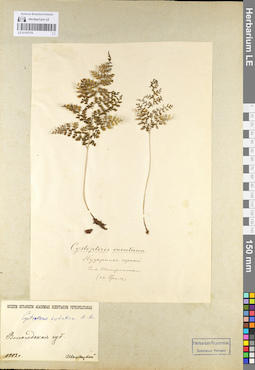 LE 01107170