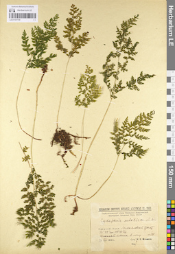LE 01107179