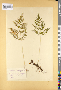 LE 01107189