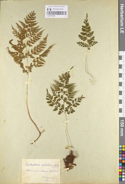 LE 01107190