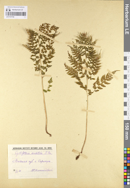 LE 01107194