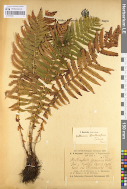 LE 01107235