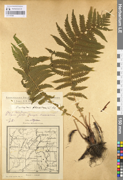LE 01107260