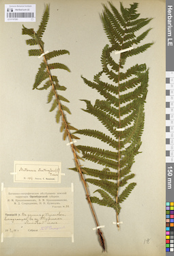 LE 01107263