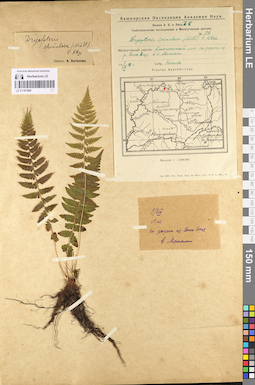LE 01107264