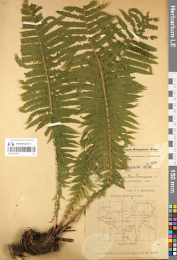 LE 01107277