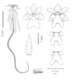 LE 01090178