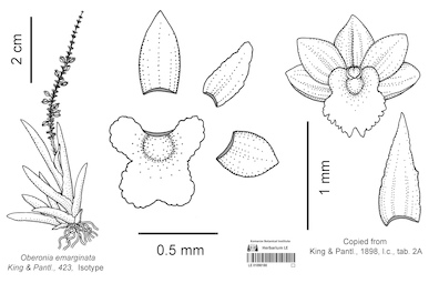 LE 01090180