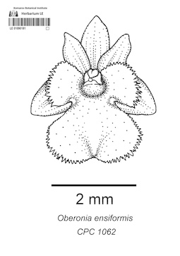 LE 01090181