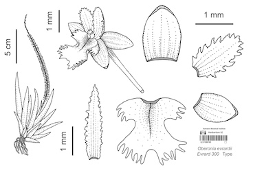 LE 01090185