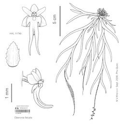LE 01090186