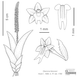 LE 01090192