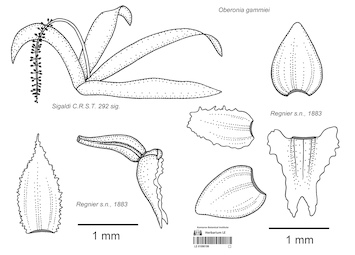 LE 01090199
