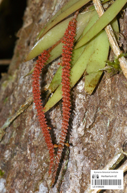 LE 01090200