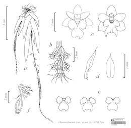 LE 01090201