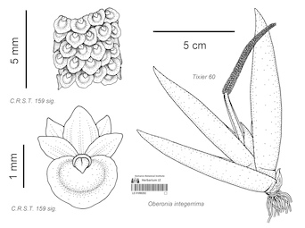 LE 01090202