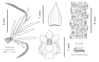 LE 01090206